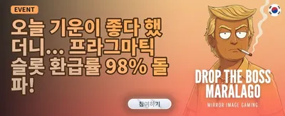 인기 슬롯 무료 스핀 증정 promotion